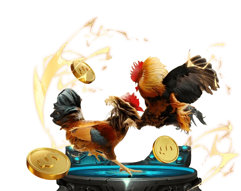 Đội ngũ hỗ trợ chuyên nghiệp của 88 on